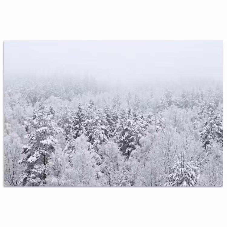 Bos - Sneeuw - Winter - Natuur - Wit poster papier klein -3d