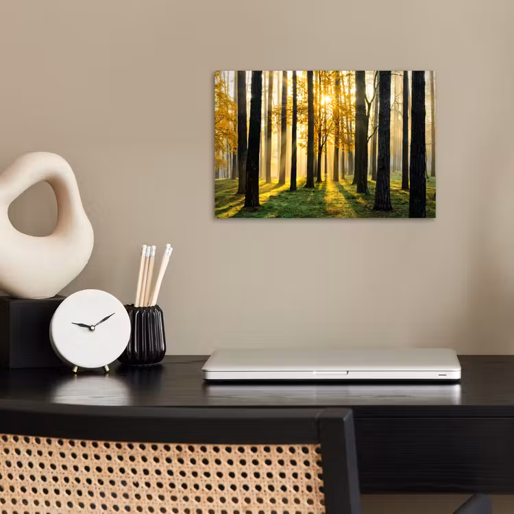 Bos - Zon - Bomen - Gras - Landschap - Natuur poster papier klein -sfeer1