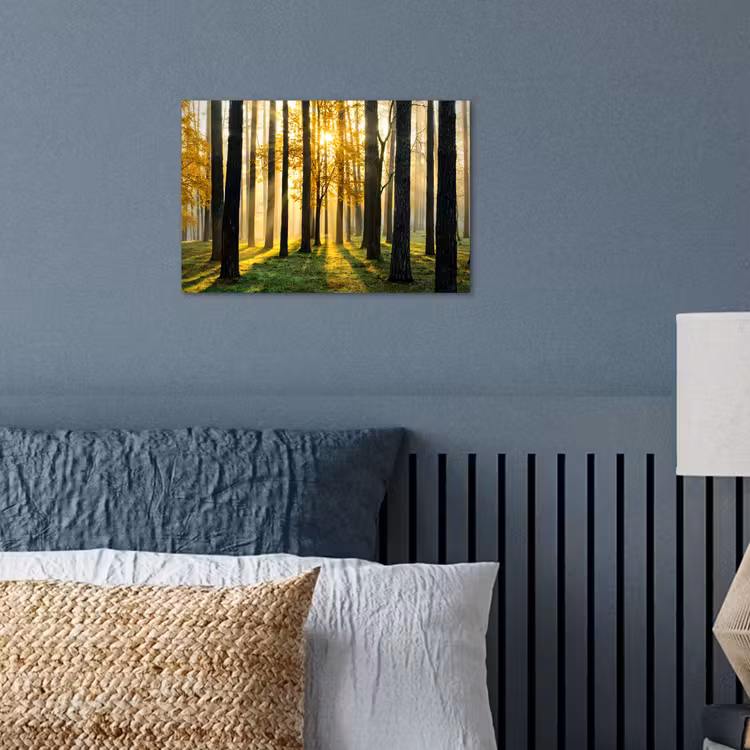 Bos - Zon - Bomen - Gras - Landschap - Natuur poster papier klein -sfeer2