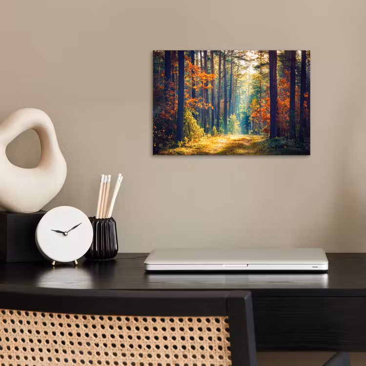 Bos - Zon - Natuur - Herfst poster papier klein -sfeer1