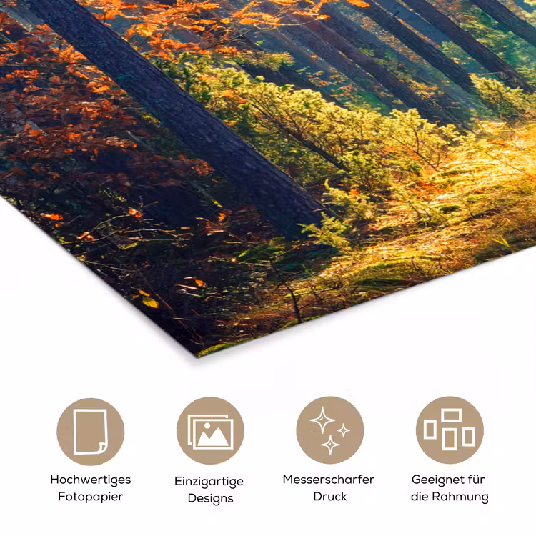 Bos - Zon - Natuur - Herfst poster papier klein -tcloseup_DE