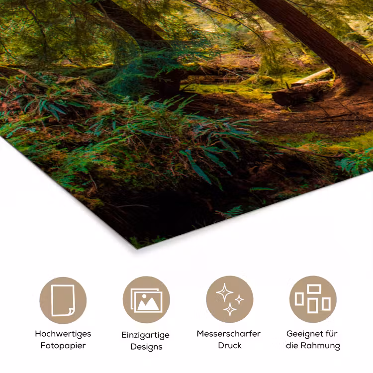 Bos - Pad - Bomen - Groen - Zon - Natuur poster papier klein -tcloseup_DE
