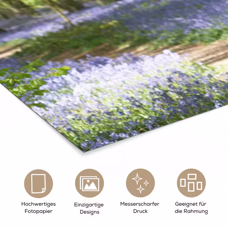 Bos - Pad - Bloemen - Paars - Groen - Natuur poster papier klein -tcloseup_DE