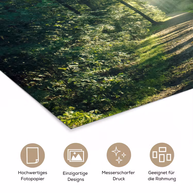 Bos - Pad - Zon - Bomen - Groen - Natuur poster papier klein -tcloseup_DE