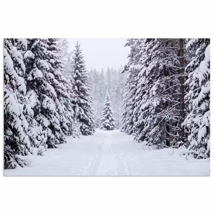Bos - Winter - Sneeuw - Pad - Natuur poster papier klein -3d