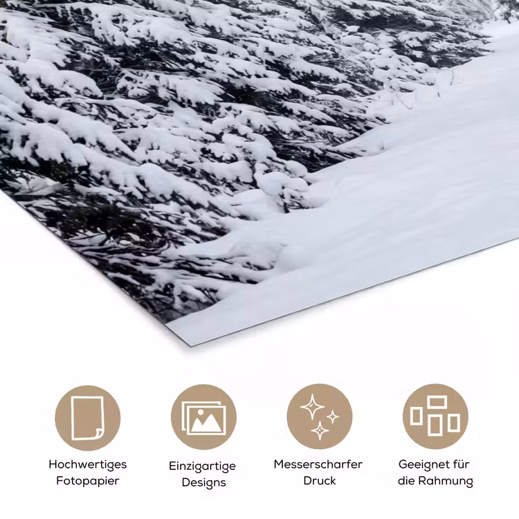 Bos - Winter - Sneeuw - Pad - Natuur poster papier klein -tcloseup_DE