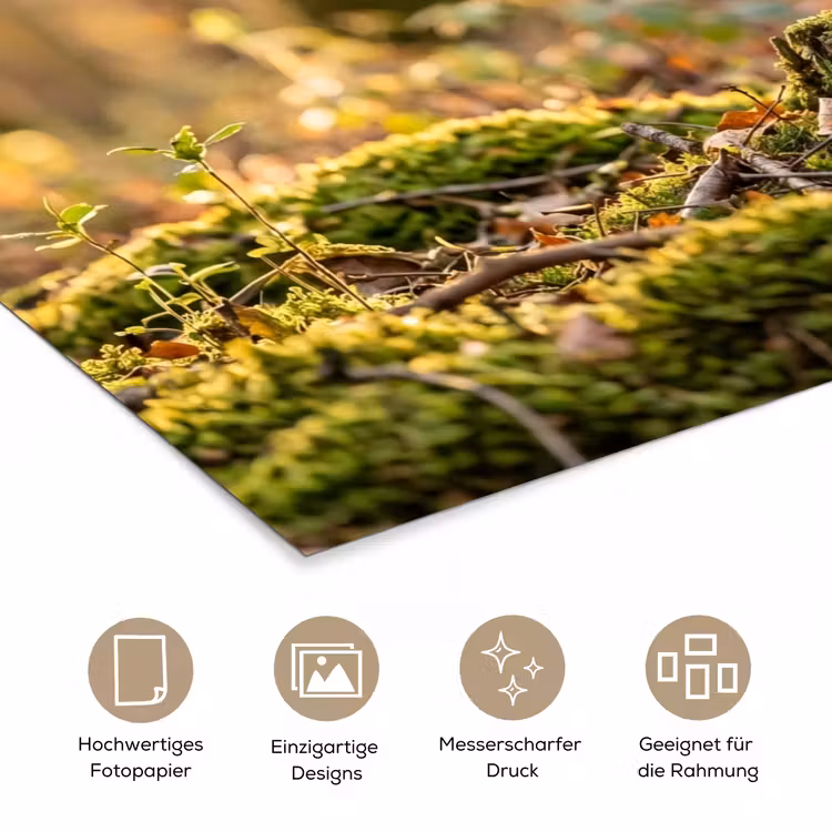 Houtsnip - Bos - Bladeren - Herfst - Gecamoufleerd poster papier klein -tcloseup_DE