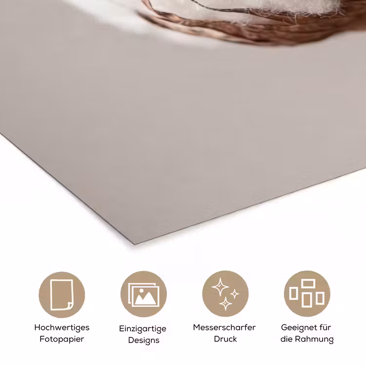 Katoenbol - Minimalistisch - Wit poster papier klein -tcloseup_DE