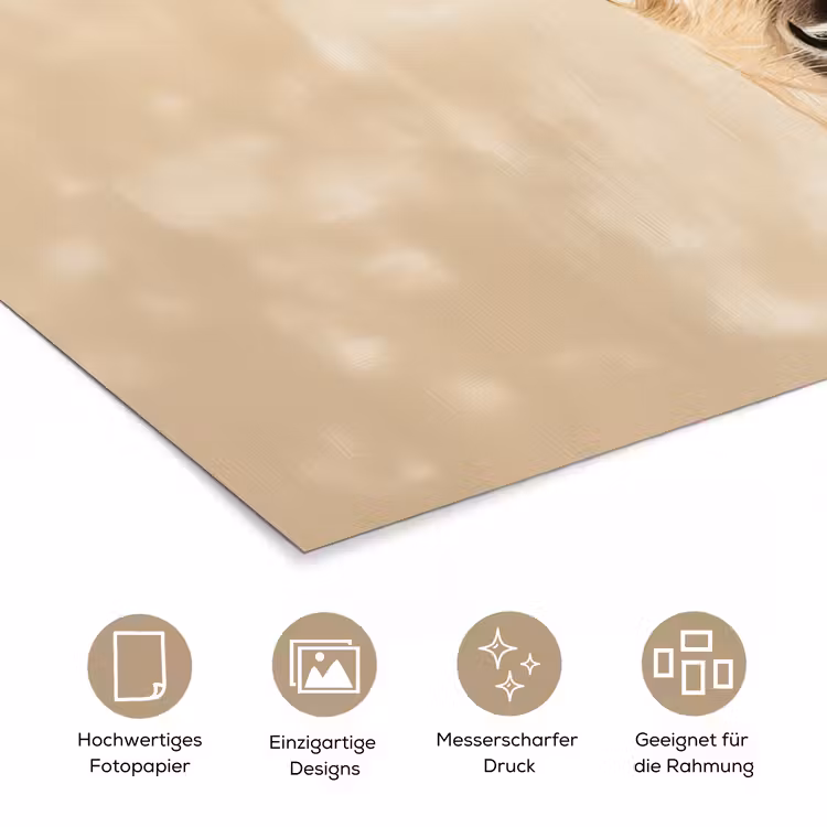 Kerst - Hert - Gewei - Rood poster papier klein -tcloseup_DE