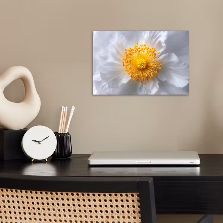 Wit - Bloem - Elegant poster papier klein -sfeer1