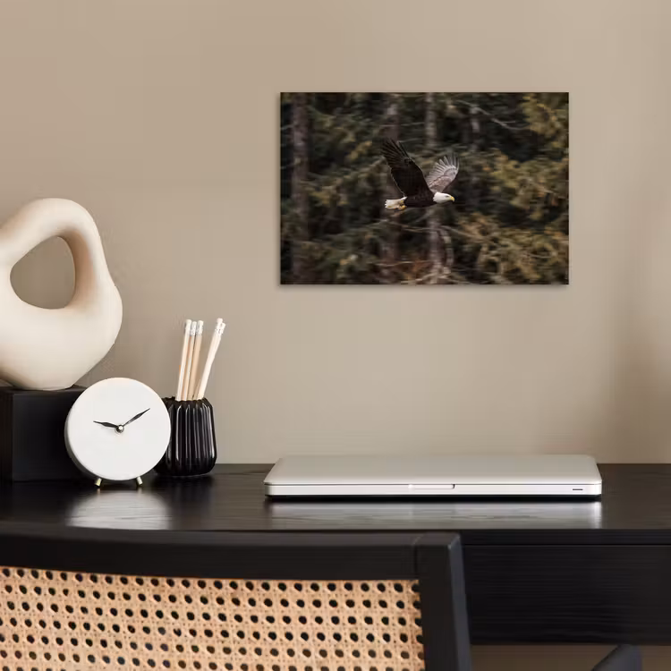 Zeearend - Vliegen - Bos - Natuur poster papier klein -sfeer1