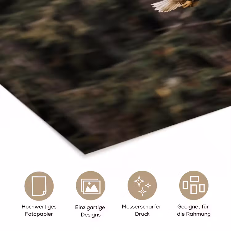 Zeearend - Vliegen - Bos - Natuur poster papier klein -tcloseup_DE