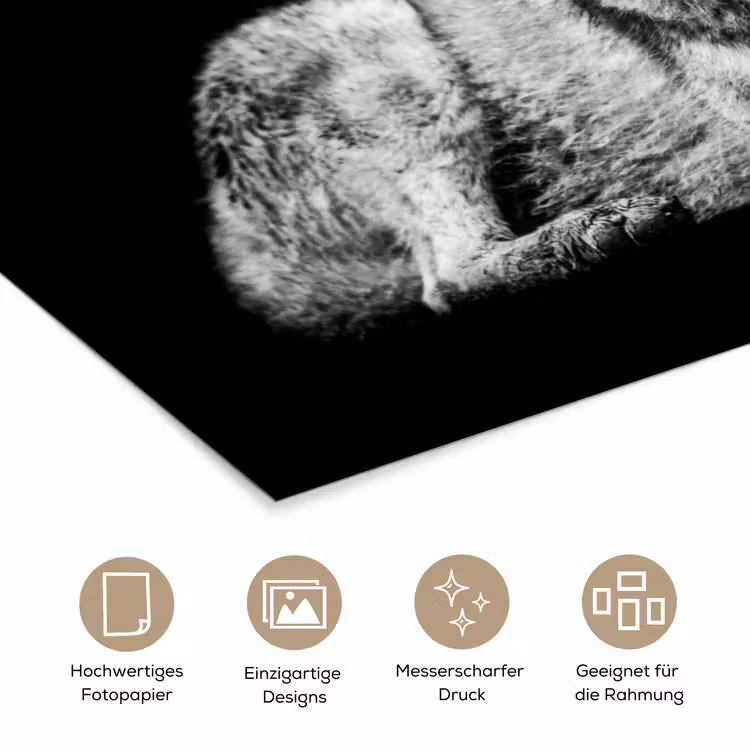Wilde dieren - Wolf - Zwart - Wit poster papier klein -tcloseup_DE