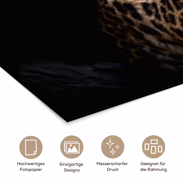 Wilde dieren - Panter - Portret - Zwart - Dieren poster papier klein -tcloseup_DE