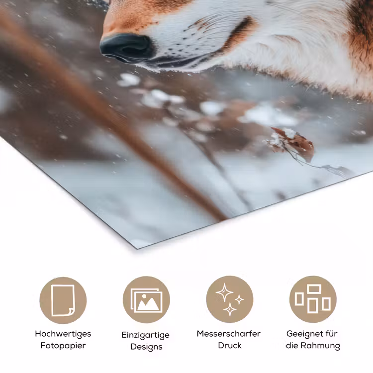 Wolf - Sneeuw - Winter - Dieren - Natuur - Sneeuw poster papier klein -tcloseup_DE