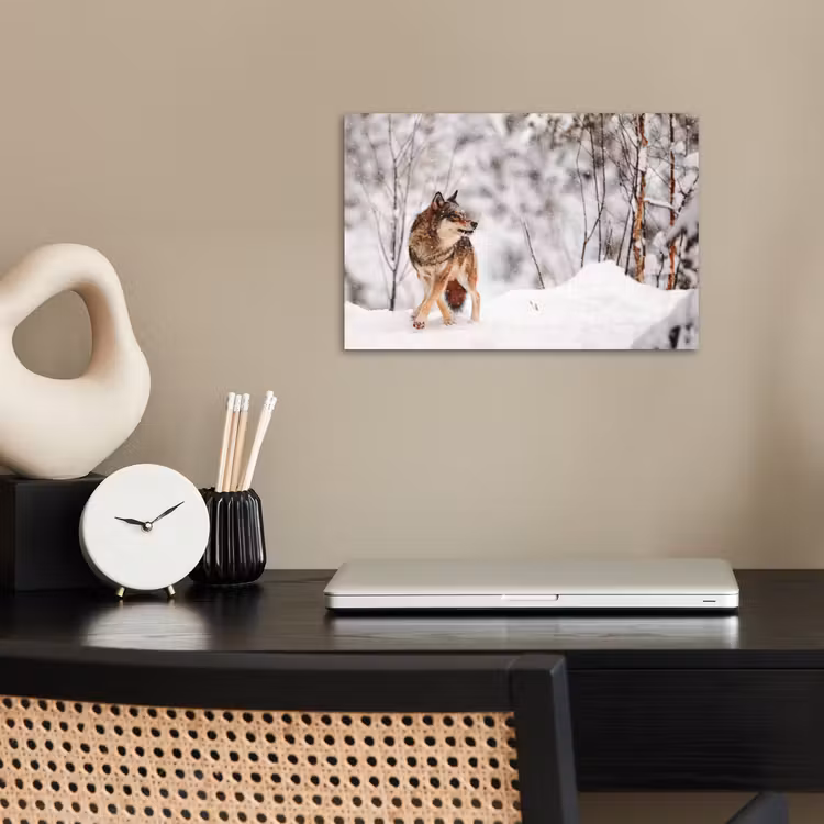 Wolf - Winter - Sneeuw - Natuur - Dieren poster papier klein -sfeer1