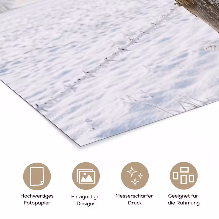 Hek - Sneeuw - Mist - Platteland - Nostalgisch poster papier klein -tcloseup_DE