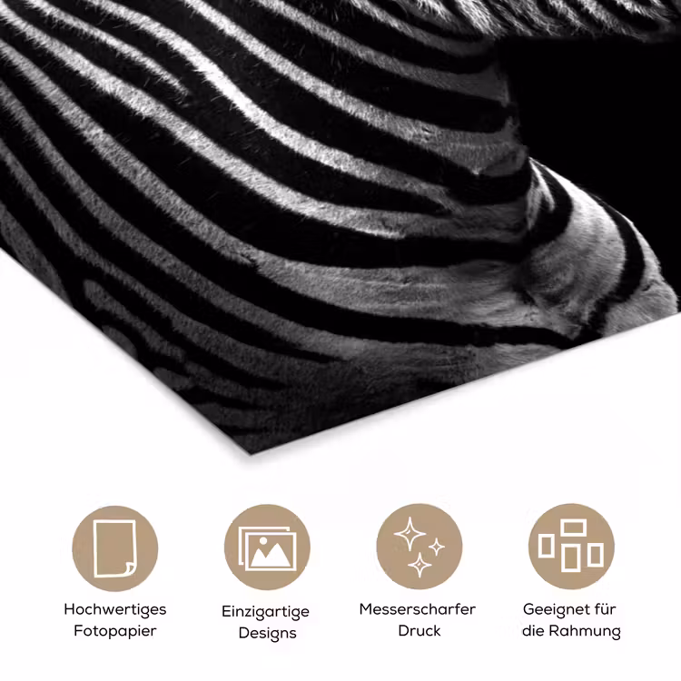 Zebra - Zwart - Wit - Portret - Dieren poster papier klein -tcloseup_DE