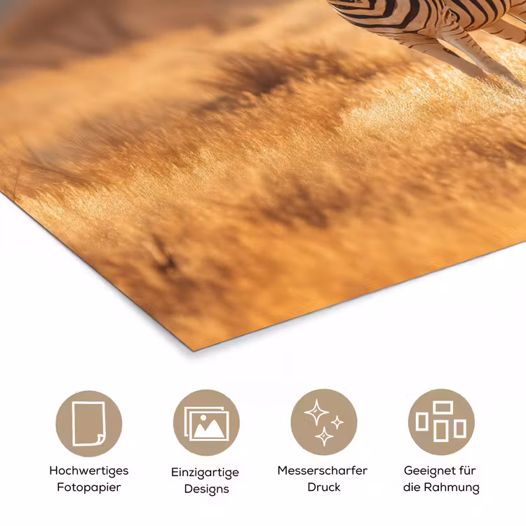 Zebra's - Savannelandschap - Gras poster papier klein -tcloseup_DE