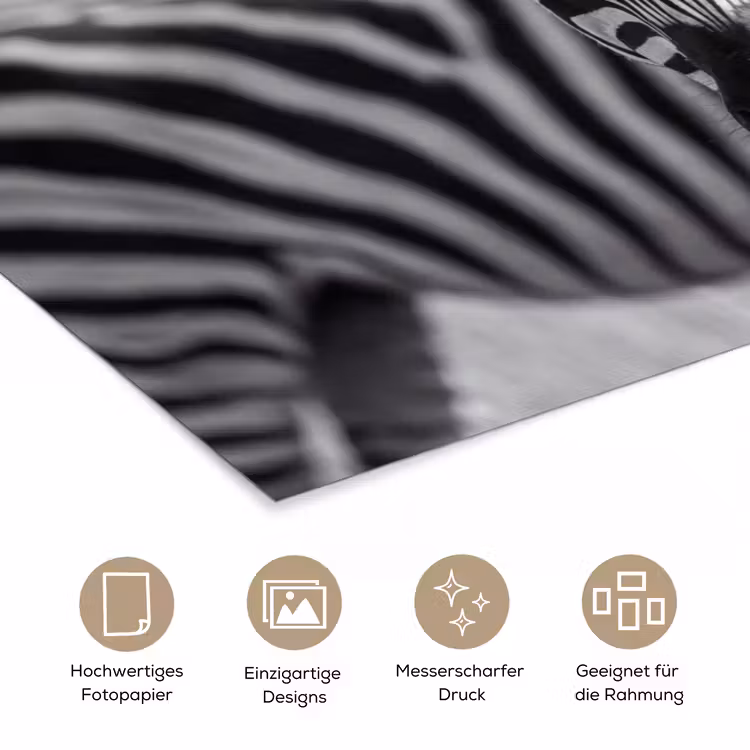 Zebra's - Zwart - Wit poster papier klein -tcloseup_DE
