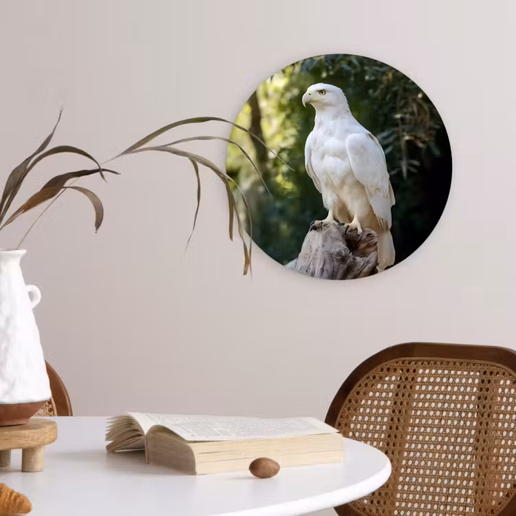 Arend - Hout - Wit - Planten Wandcirkel kunststof plaat 5mm dik klein -sfeer4