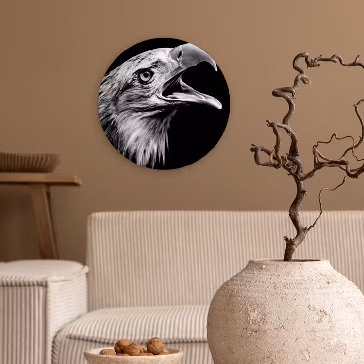 Adelaar - Portret - Roofvogels - Zwart - Wit - Vogel Wandcirkel kunststof plaat 5mm dik klein -sfeer1