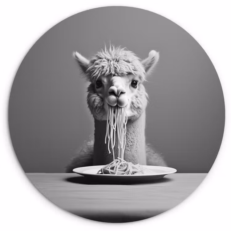 Alpaca - Pasta - Zwart - Wit - Grappig - Dieren Wandcirkel kunststof plaat 5mm dik klein -3d