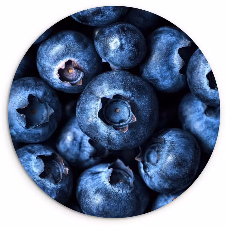 Bessen - Blauw - Fruit Wandcirkel kunststof plaat 5mm dik klein -3d
