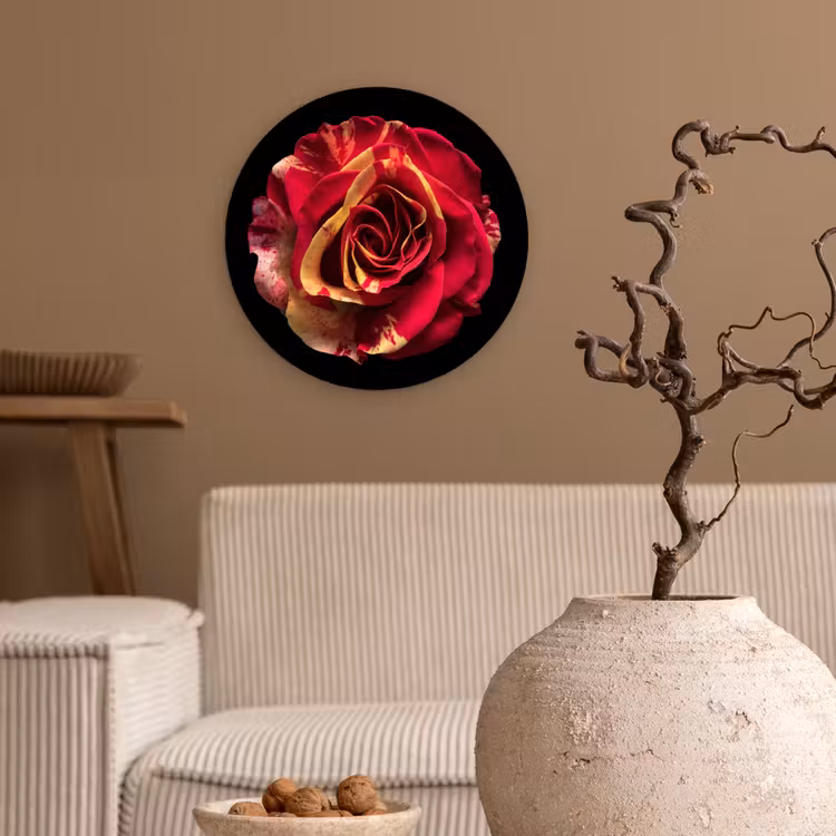 Bloem - Roos - Rood - Zwart Wandcirkel kunststof plaat 5mm dik klein -sfeer1