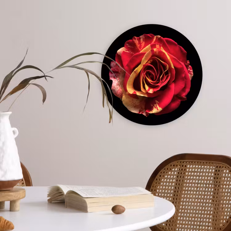 Bloem - Roos - Rood - Zwart Wandcirkel kunststof plaat 5mm dik klein -sfeer4