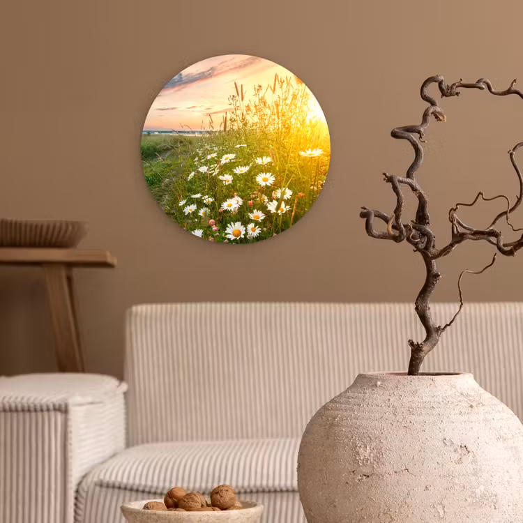 Bloemen - Madelief - Natuur - Zon - Horizon Wandcirkel kunststof plaat 5mm dik klein -sfeer1