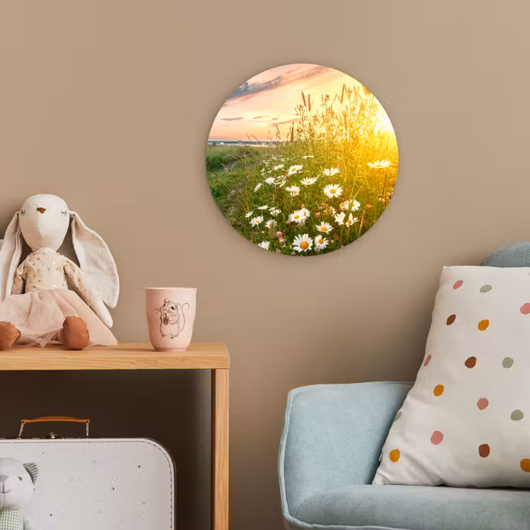 Bloemen - Madelief - Natuur - Zon - Horizon Wandcirkel kunststof plaat 5mm dik klein -tsfeer1_kind