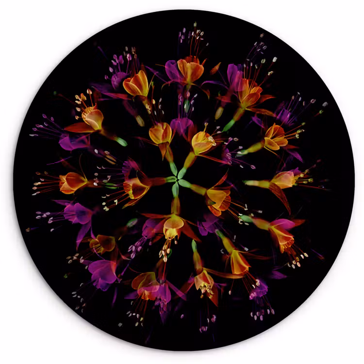 Bloemen - Oranje - Roze - Zwart Wandcirkel kunststof plaat 5mm dik klein -3d