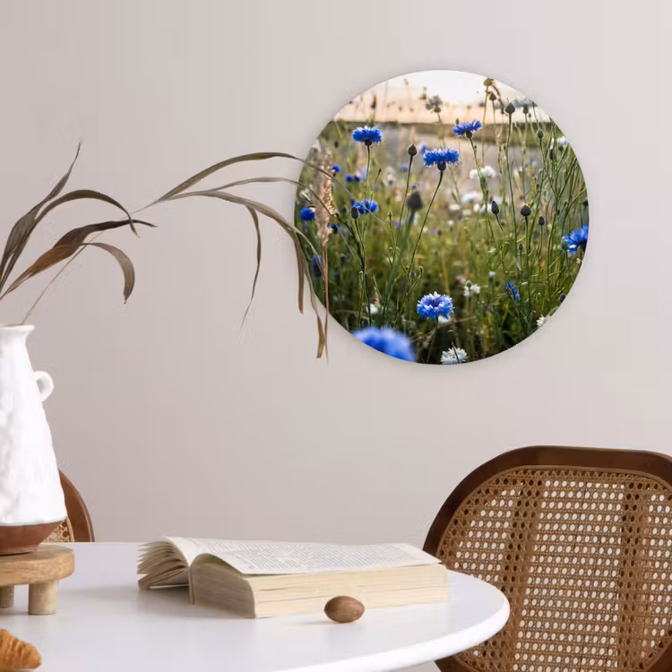 Bloemen - Zomer - Korenbloem - Blauw - Zon - Wolken Wandcirkel kunststof plaat 5mm dik klein -sfeer4