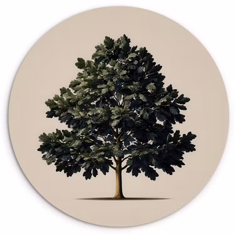 Eikenboom - Schaduw - Egaal Wandcirkel kunststof plaat 5mm dik klein -3d