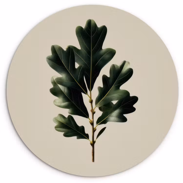 Eikenbladeren - Beige - Groen - Golvende randen Wandcirkel kunststof plaat 5mm dik klein -3d