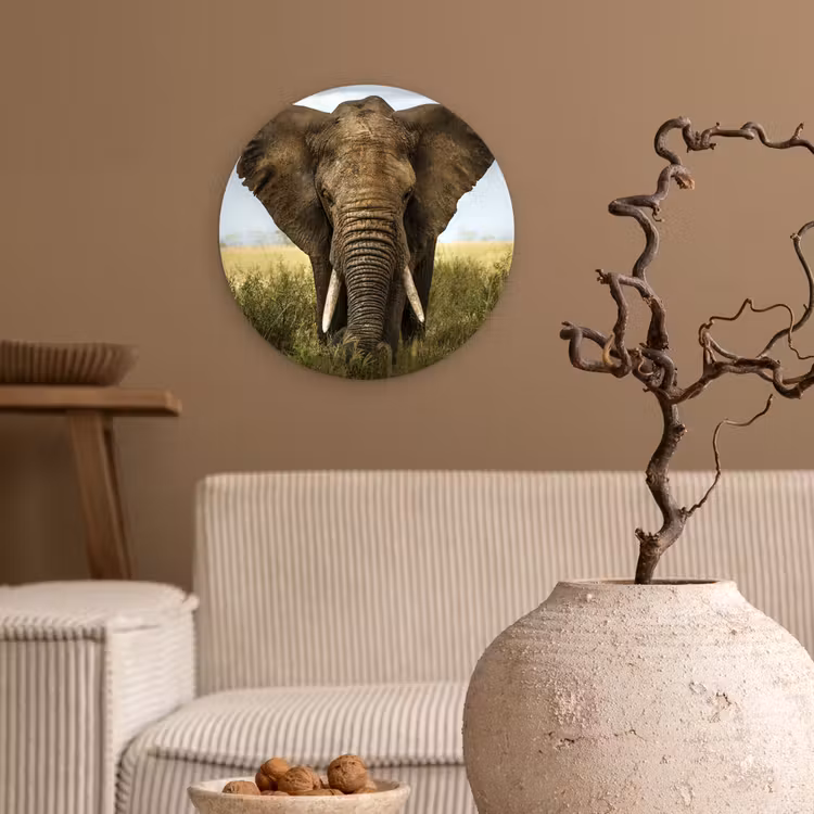 Olifant - Natuur - Gras - Dieren - Landschap Wandcirkel kunststof plaat 5mm dik klein -sfeer1