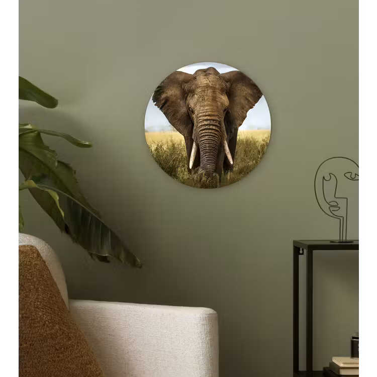 Olifant - Natuur - Gras - Dieren - Landschap Wandcirkel kunststof plaat 5mm dik klein -sfeer3