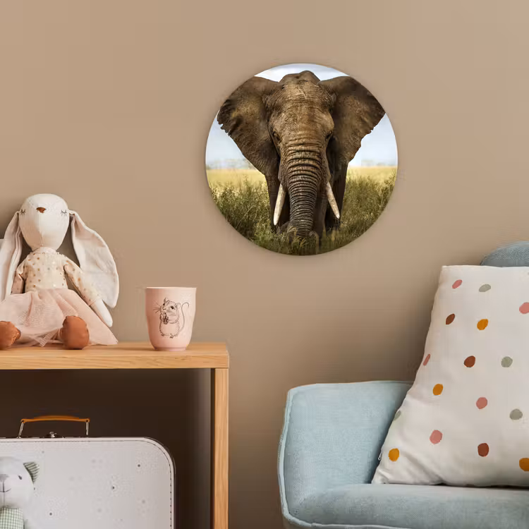 Olifant - Natuur - Gras - Dieren - Landschap Wandcirkel kunststof plaat 5mm dik klein -tsfeer1_kind