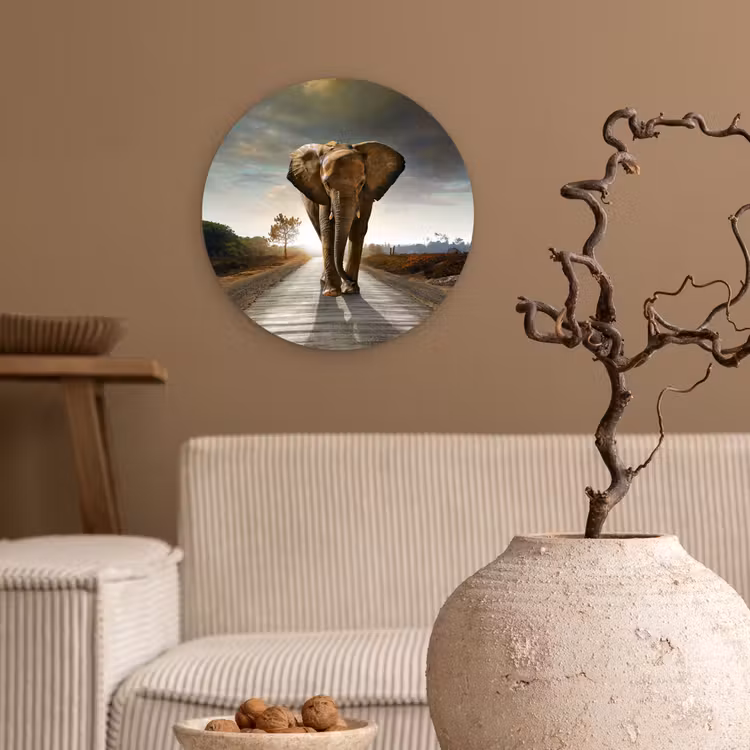Olifant - Weg - Dieren - Zonsondergang - Landschap Wandcirkel kunststof plaat 5mm dik klein -sfeer1