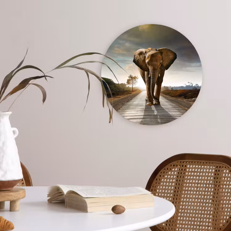 Olifant - Weg - Dieren - Zonsondergang - Landschap Wandcirkel kunststof plaat 5mm dik klein -sfeer4