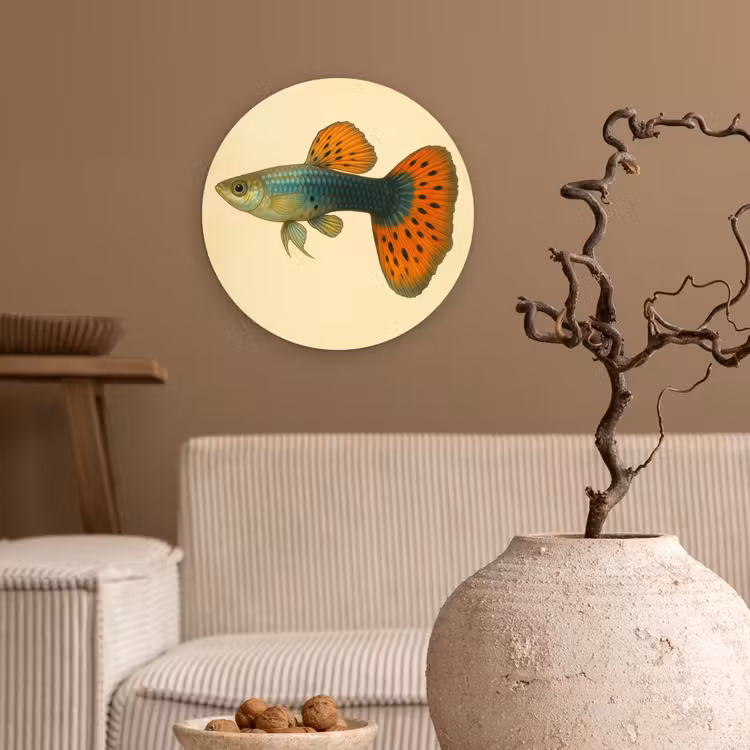 Vis - illustratie - Stippen - Oranje Wandcirkel kunststof plaat 5mm dik klein -sfeer1