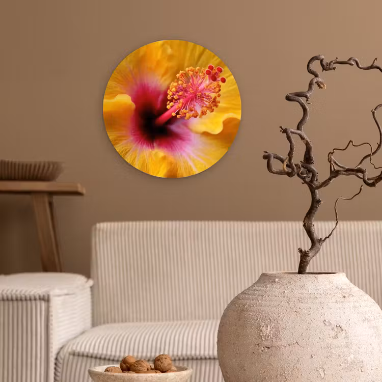 Geel - Hibiscus - Tropisch Wandcirkel kunststof plaat 5mm dik klein -sfeer1