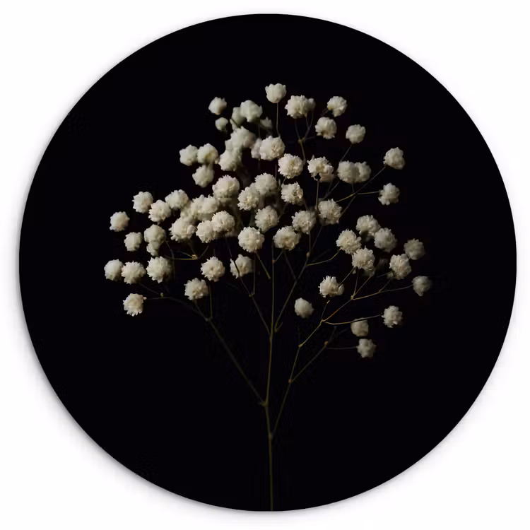 Gipskruid - Bloemetjes - Wit - Minimalistisch Wandcirkel kunststof plaat 5mm dik klein -3d