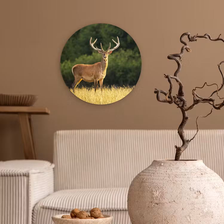 Hert - Gewei - Gras - Natuur - Dieren - Groen Wandcirkel kunststof plaat 5mm dik klein -sfeer1