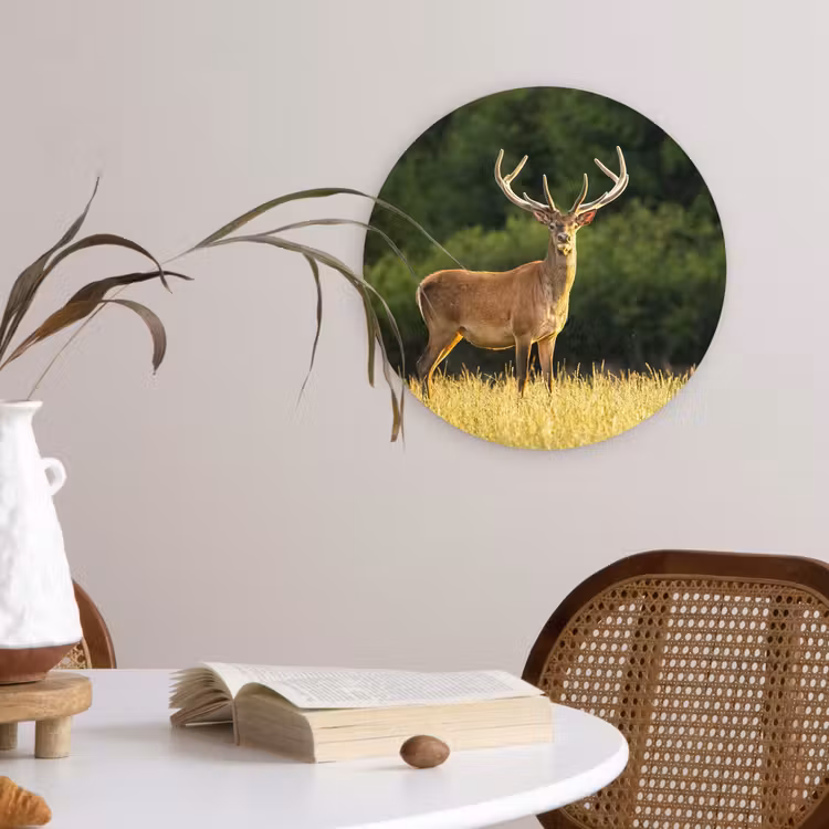 Hert - Gewei - Gras - Natuur - Dieren - Groen Wandcirkel kunststof plaat 5mm dik klein -sfeer4