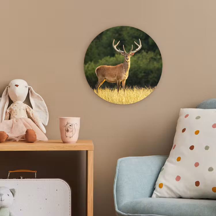Hert - Gewei - Gras - Natuur - Dieren - Groen Wandcirkel kunststof plaat 5mm dik klein -tsfeer1_kind