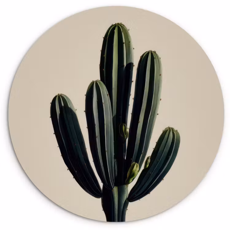 Cactus - Subtiel - Groen Wandcirkel kunststof plaat 5mm dik klein -3d