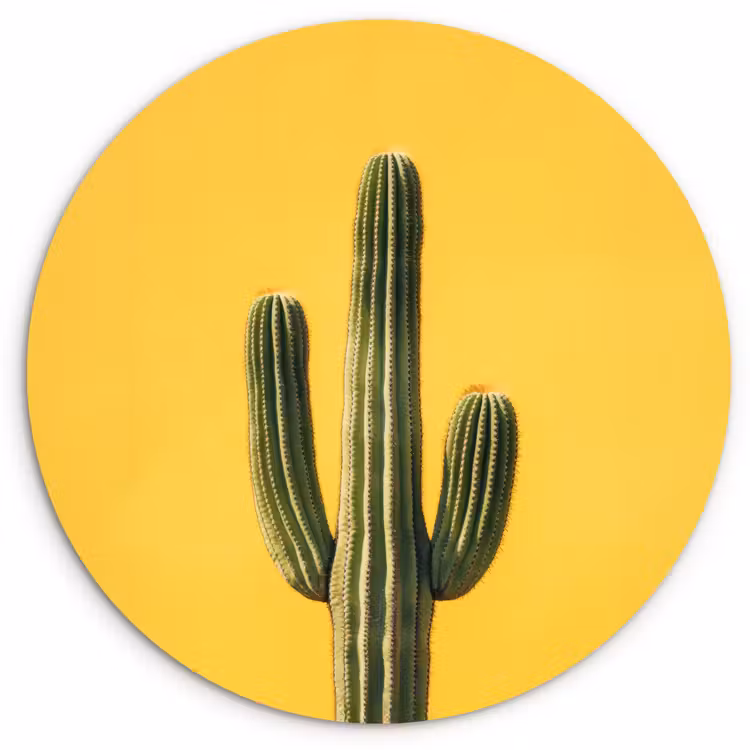 Cactus - Groen - Minimalistisch Wandcirkel kunststof plaat 5mm dik klein -3d
