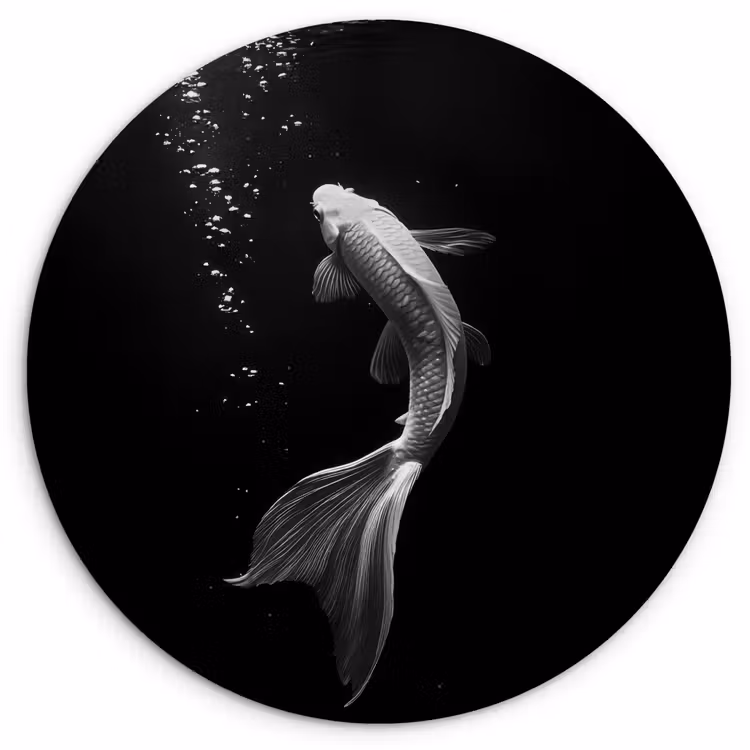 Koi - Vis - Wit - Zwart Wandcirkel kunststof plaat 5mm dik klein -3d